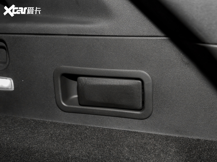 2022PXT5 2.0T (q)L(fng)