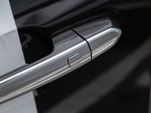 20222.0T (q)L(fng) (x)(ji)^