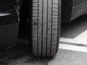 20222.0T (q)L(fng) (x)(ji)^