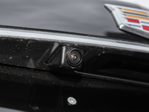 20222.0T (q)L(fng) (x)(ji)^