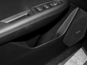 20222.0T (q)L(fng) g