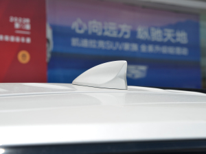 20222.0T (q)A(B) (x)(ji)^