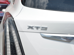 20222.0T (q)A(B) (x)(ji)^