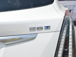 20222.0T (q)A(B) (x)(ji)^