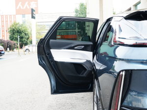 2022款后驱长续航豪华版 左后车门