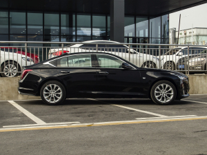 202228T A((bio)(zhn)) (c)ң