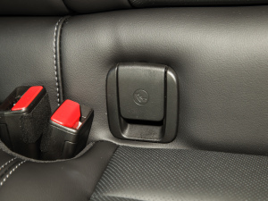 202228T A((bio)(zhn)) g