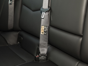 202228T A((bio)(zhn)) g