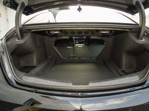 202228T A((bio)(zhn)) g