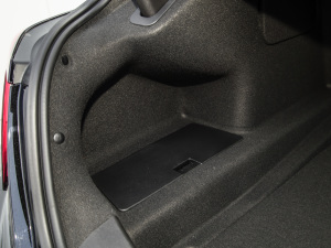 202228T A((bio)(zhn)) g