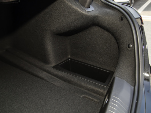 202228T A((bio)(zhn)) g