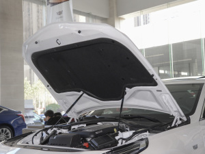 202228T ԄӺA lәCœ