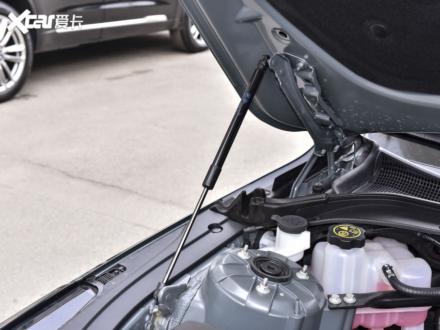 2022��P������CT4 28T ���F��