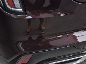 2022��28T �L���� �������^