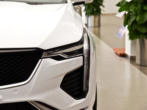 2022��28T ԭ���������� �������^