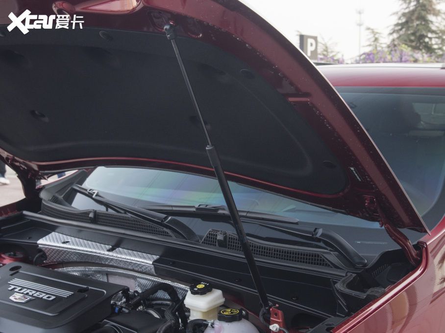 2022PXT4 28T (q)K\(yn)(dng)