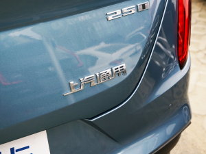 202325T  ϸ