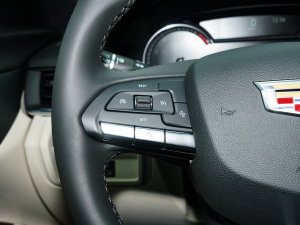 202325T L(fng) п؅^(q)