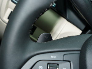 202325T L(fng) п؅^(q)