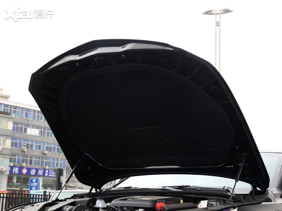 2023PCT5 28T A((bio)(zhn))