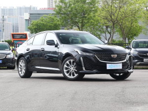 202328T A((bio)(zhn)) ǰ45