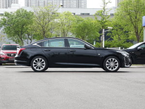 202328T A((bio)(zhn)) (c)ң