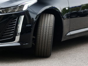 202328T A((bio)(zhn)) (x)(ji)^