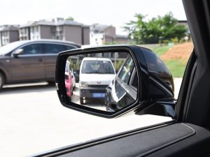 202328T L(fng) (x)(ji)^