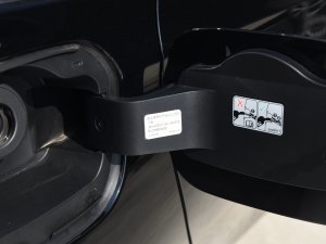 202328T L(fng) (x)(ji)^