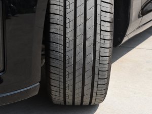 202328T L(fng) (x)(ji)^