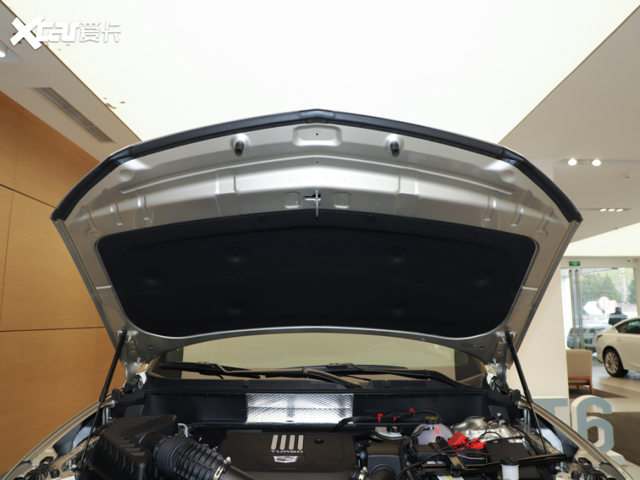 2025PXT6 2.0T (q)A(jng)