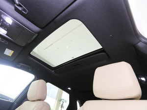 2017c 28T (q)g(sh) g