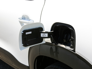 2018350THP ԄӻW w