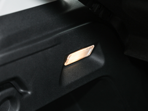 2018350THP ԄӻW g