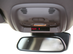 2018350THP ԄӻW g