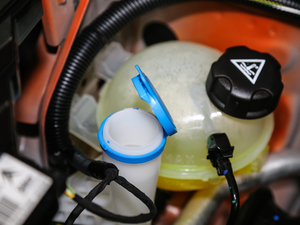 2018350THP ԄӻWǰ 