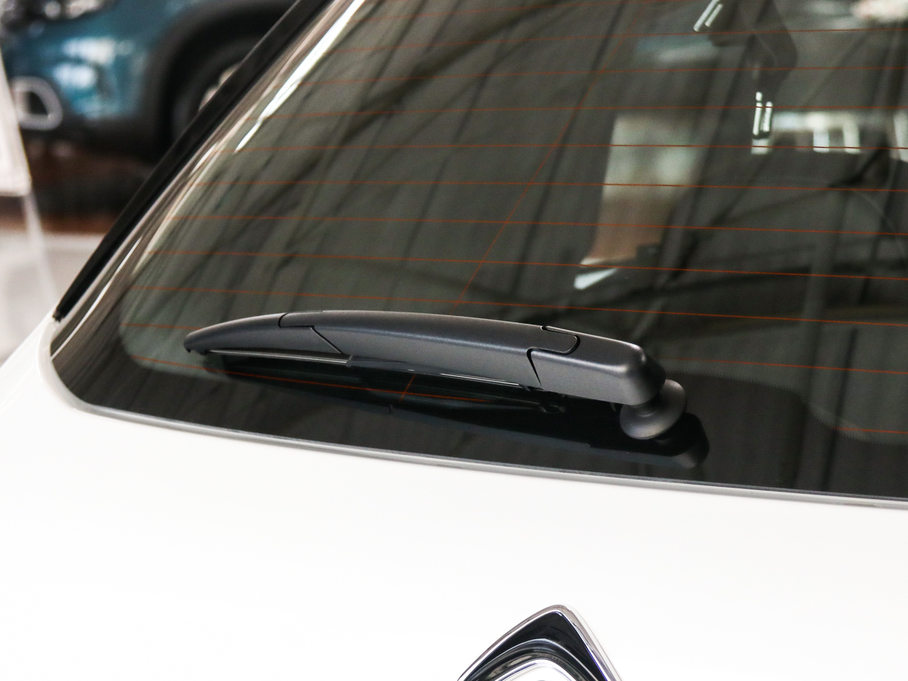 2019ѩFC3-XR 230THP ORIGINS