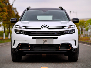 2019360THP Origins VI w^