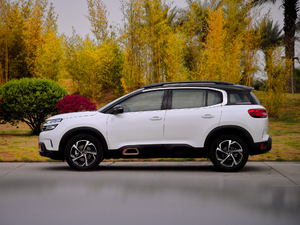 2019360THP Origins VI w^