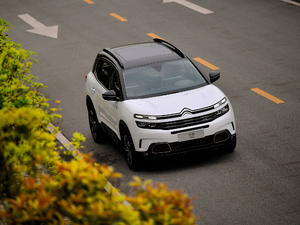 2019360THP Origins VI w^