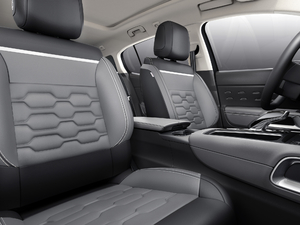 2019360THP Origins VI g