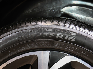 2019360THP Origins VI ^