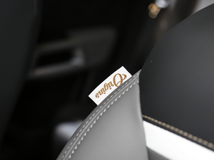 2019360THP Origins VI g