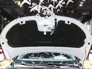 2019360THP Origins VI 