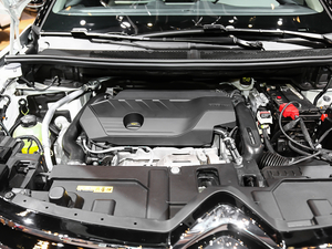 2019360THP Origins VI 