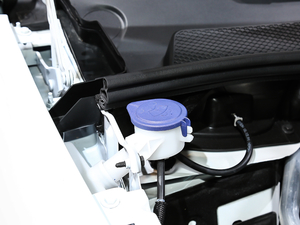 2019360THP Origins VI 