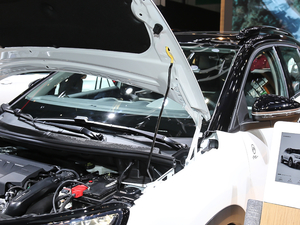 2019360THP Origins VI 