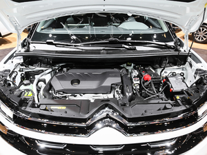 2019360THP Origins VI 