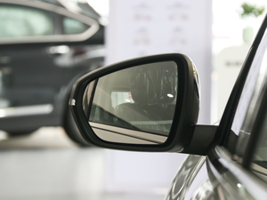 2019360THP Origins VI (ji)^