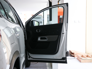 2019360THP Origins VI g